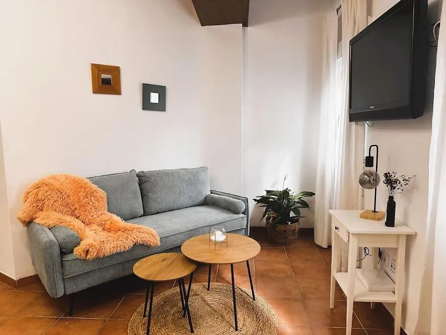 La Casa Azul. Granada Centro Apartment